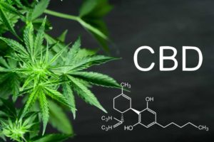 Purelabs-cannabis-CBD
