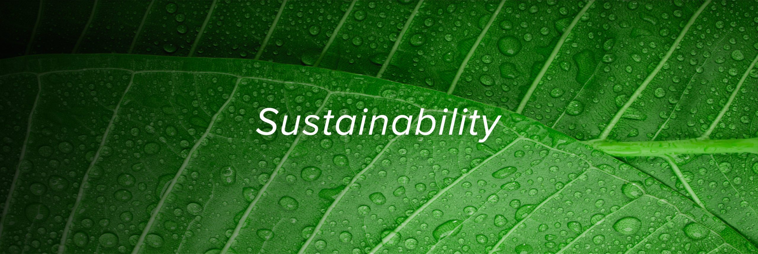 Sustainability